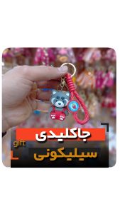 جاکلیدی راکون فروش عمده خرید جاسوئیچی سیلیکونی راسو