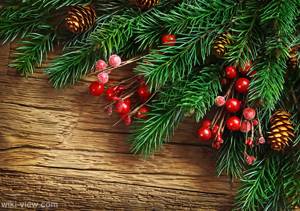 کریسمس لوازم خرید