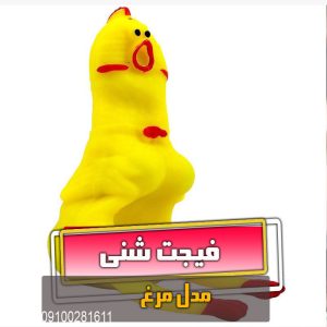 فیجت شنی مرغ نالان فیجت عمده اسکوییشی نرمالو